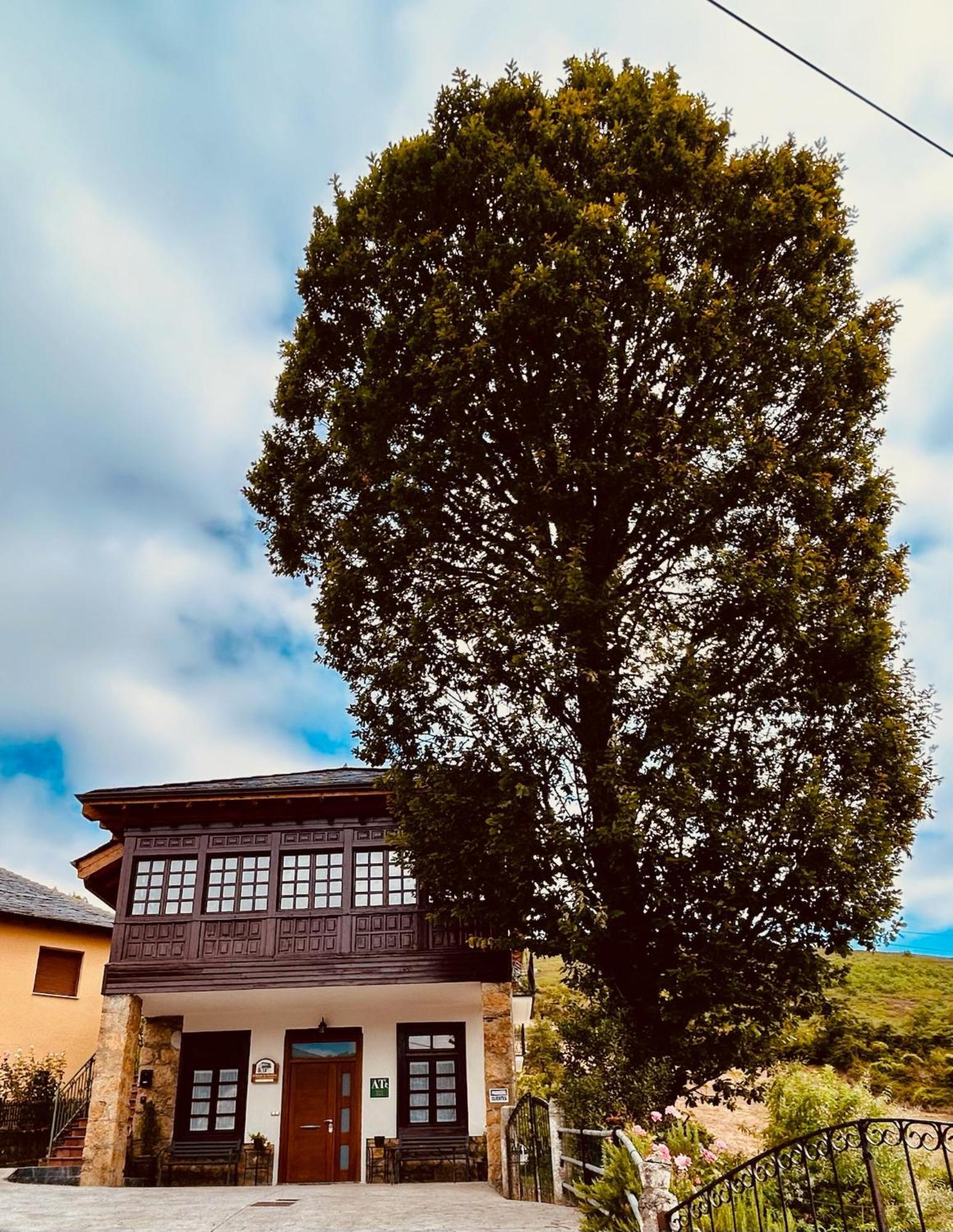 El Balcon De Muniellos Oballo エクステリア 写真